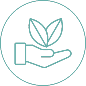 icon of hand holding leaves